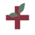 logo medicrise